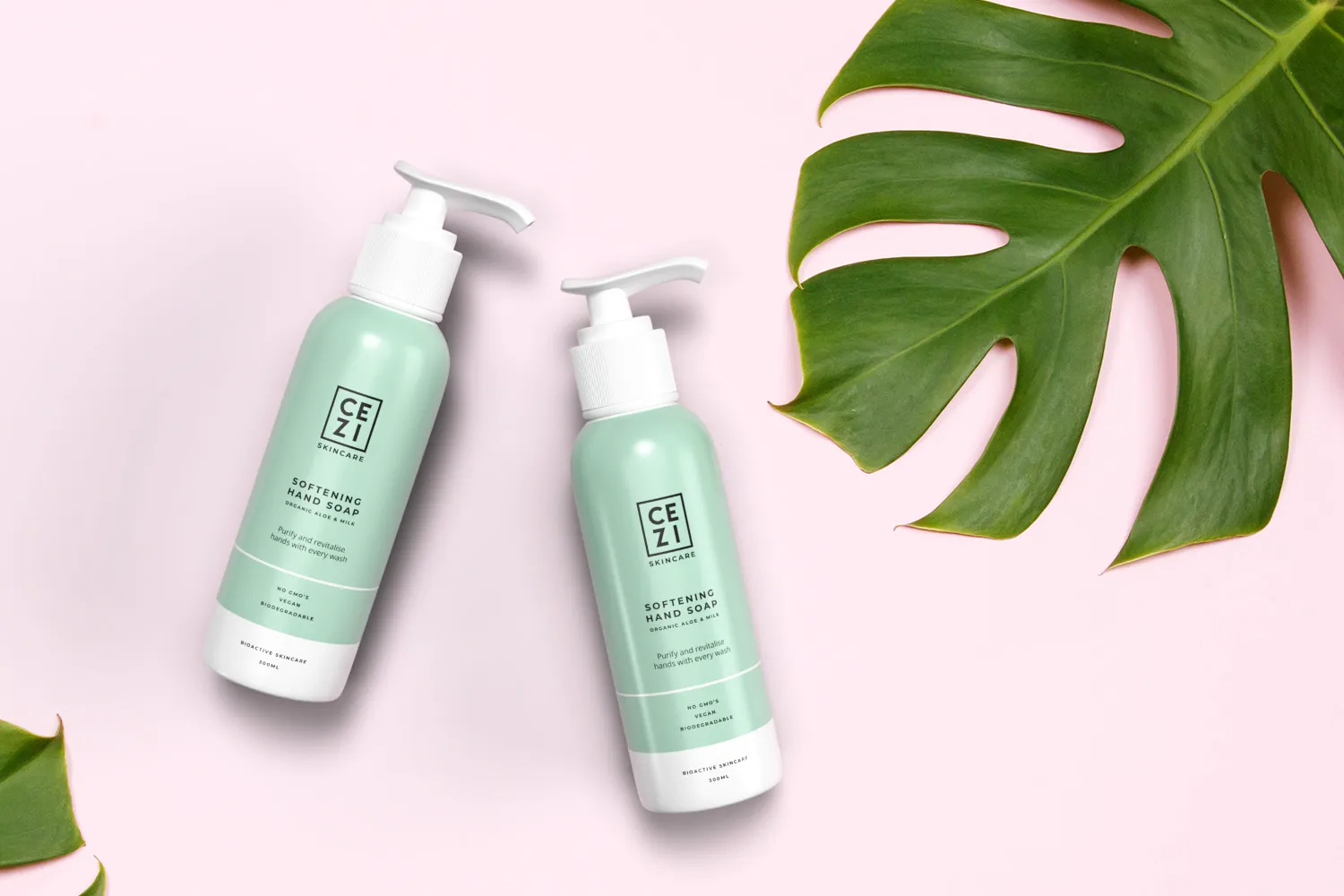 3 Cezi Branding